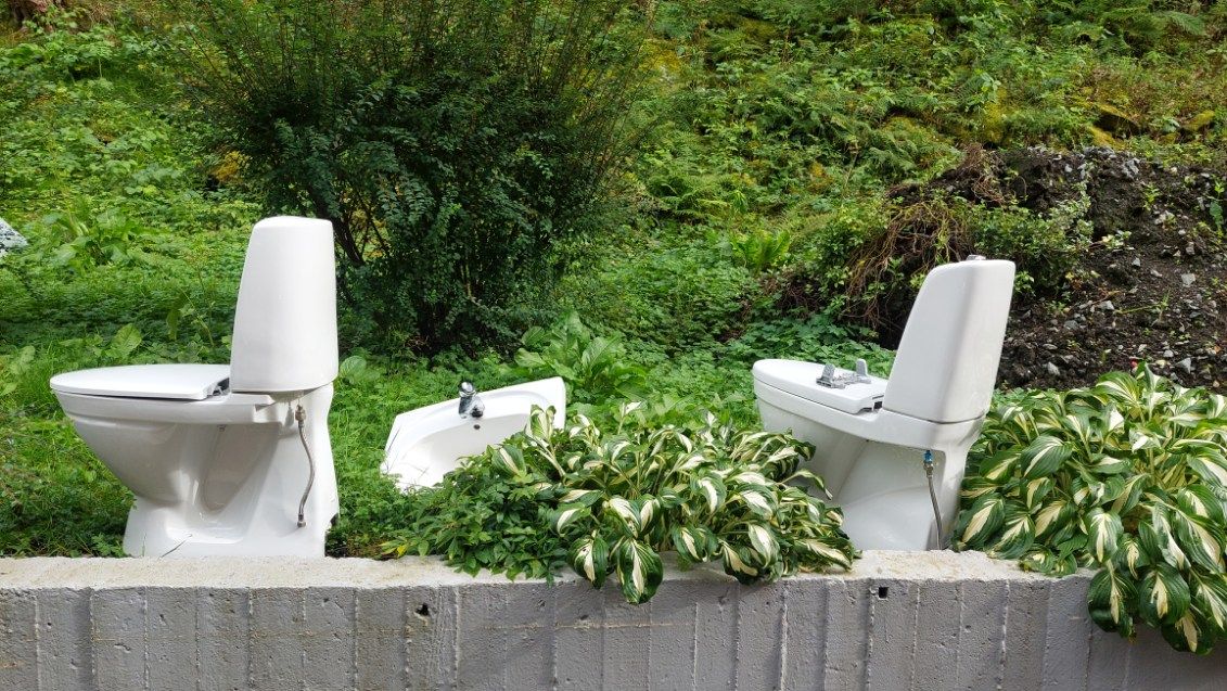 bilde av to toalett i en hage som skal plukkes opp for gjenbruk